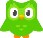 Duolingo