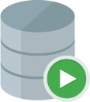SQL Developer Logo