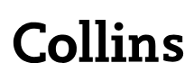 Collins Digital Translator