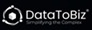 DataToBiz